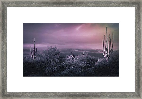 Well Known Monochromatic Desert Framed Printsaija Lehtonen With Regard To Desert Inn Framed Art Prints (View 3 of 20)