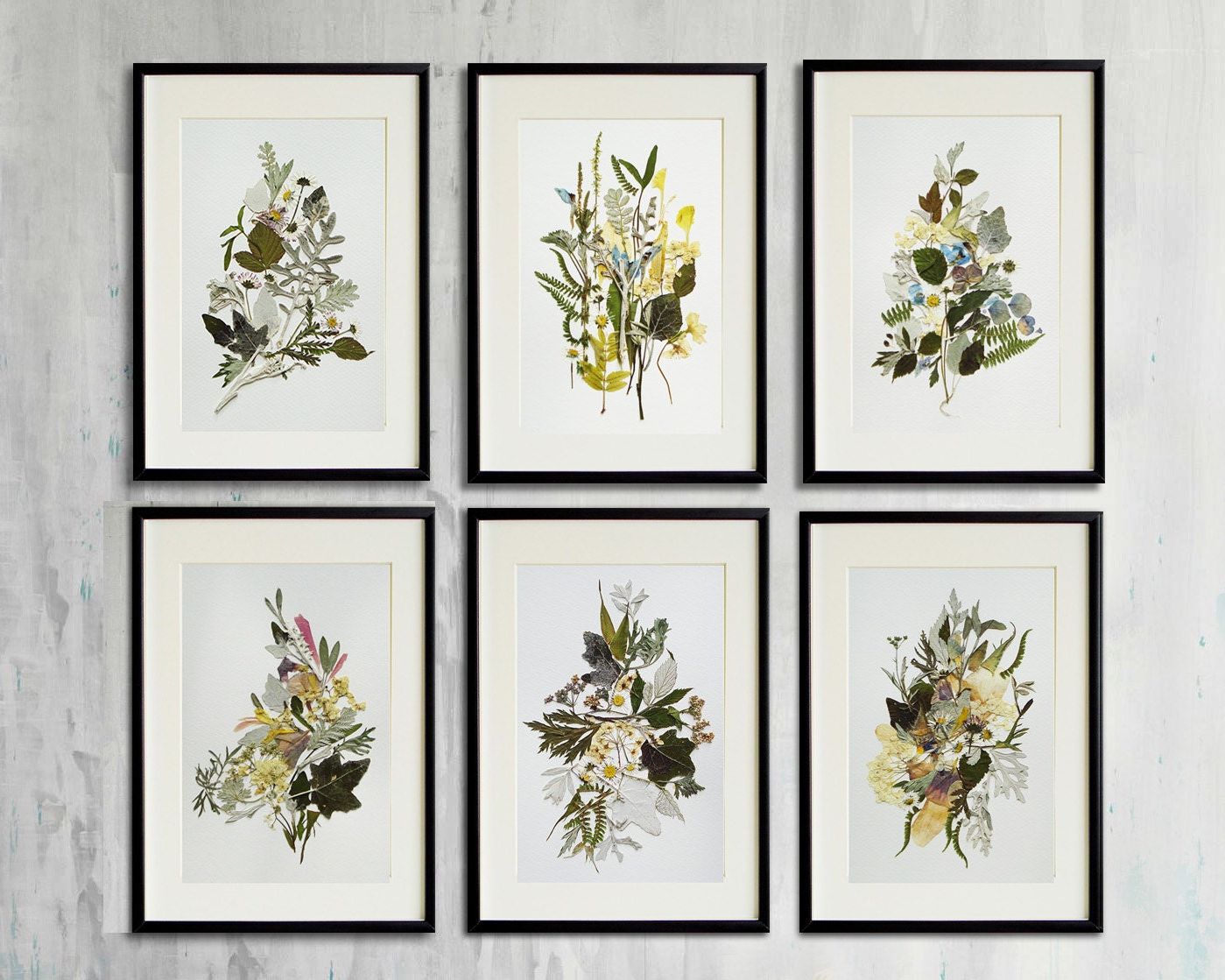 Well Known Set Of 6 Botanical Prints Artworks Collection Contemporary Regarding Flower Framed Art Prints (View 7 of 20)