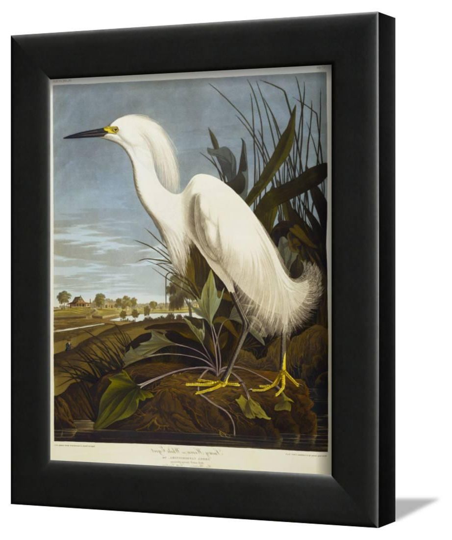 2018 Snowy Heron Or White Egret / Snowy Egret Traditional Bird Animal Art Throughout Heron Bird Wall Art (View 3 of 15)