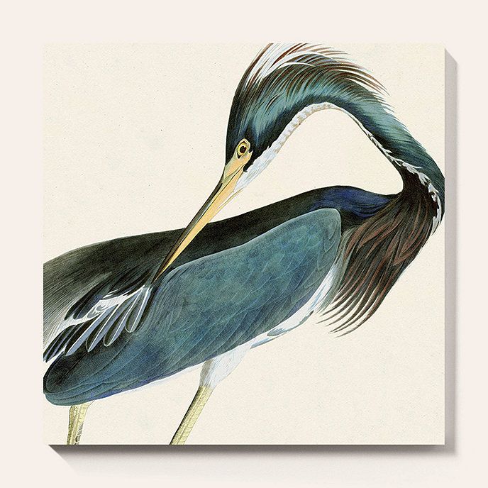 Heron Art, Canvas Art, Stretch Canvas (View 7 of 15)