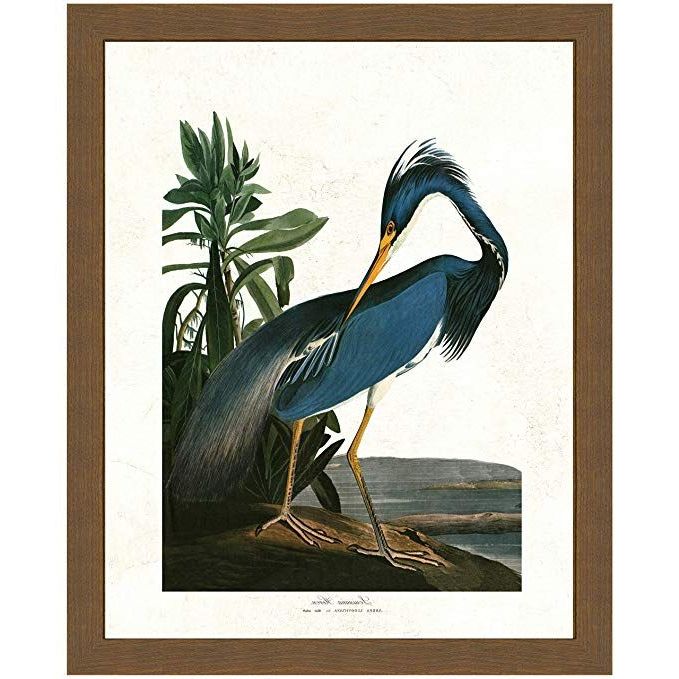 Heron Bird Wall Art Pertaining To Most Popular Amazon: Vintage Audubon Bird Print – Blue Louisiana Heron – Wood (View 10 of 15)