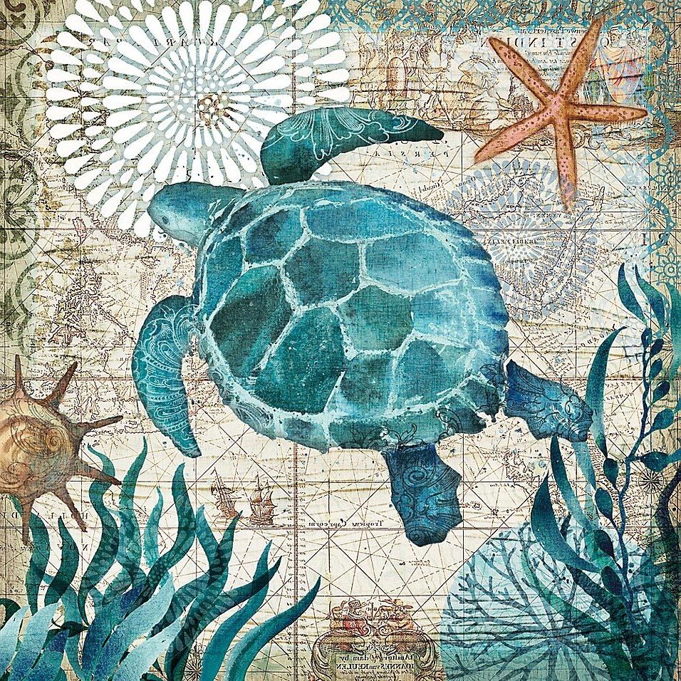 Portfolio Arts Group Monterey Bay Sea Turtle 24" Square Canvas Wall Art Regarding 2018 Turtles Wall Art (View 9 of 15)