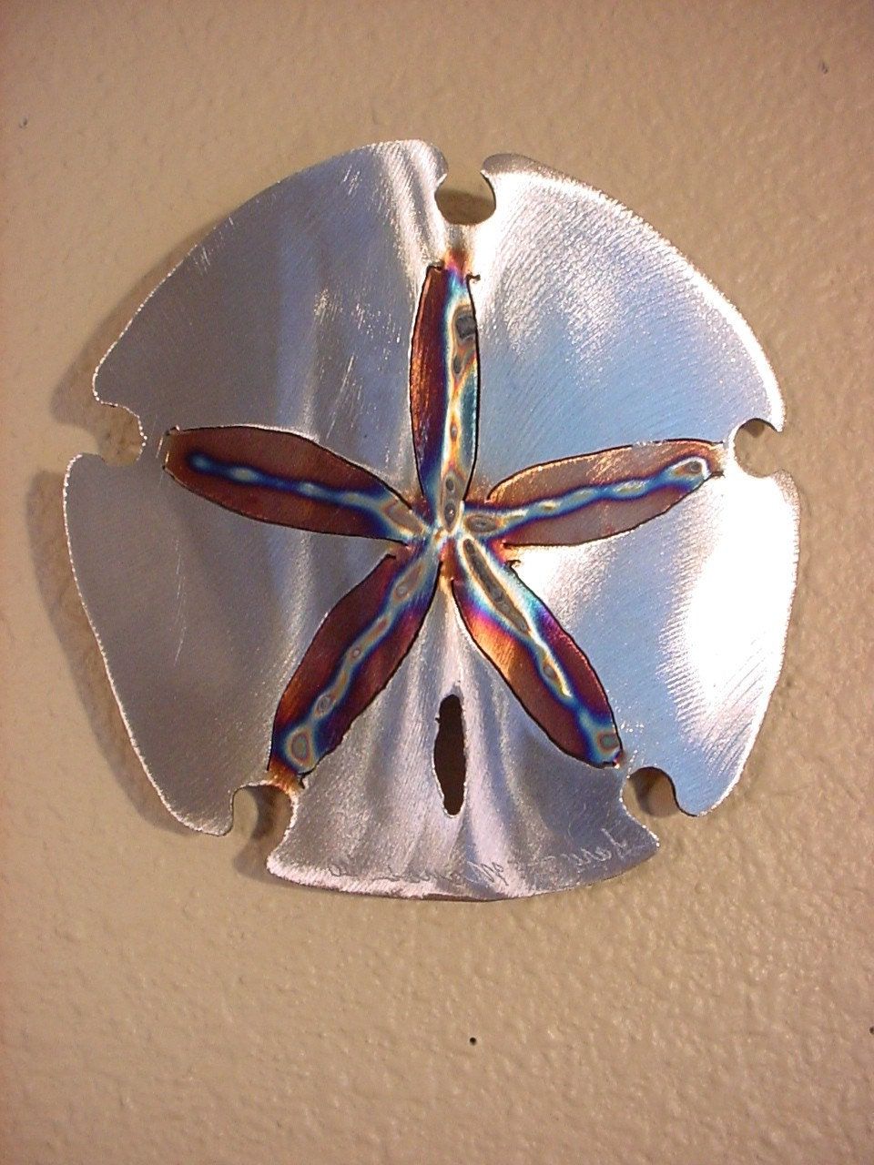 Sand Dollar Sanddollar Steel Wall Art Metal Ocean Beach House For Well Known Sand And Sea Metal Wall Art (View 2 of 15)