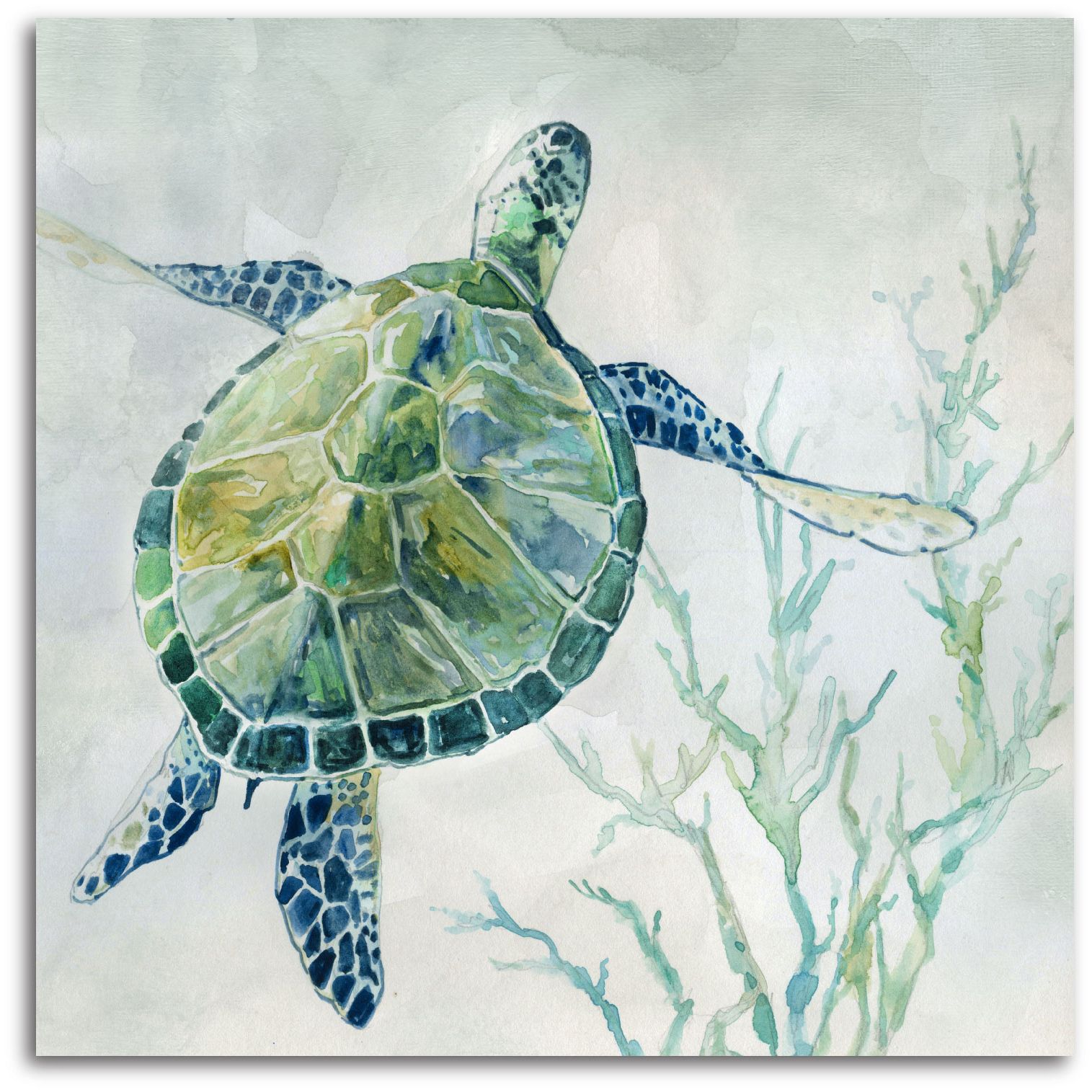 Sea Wall Art Throughout Preferred Courtside Market Sea Turtle Ii 16"x16" Gallery Wrapped Canvas Wall Art (View 15 of 15)