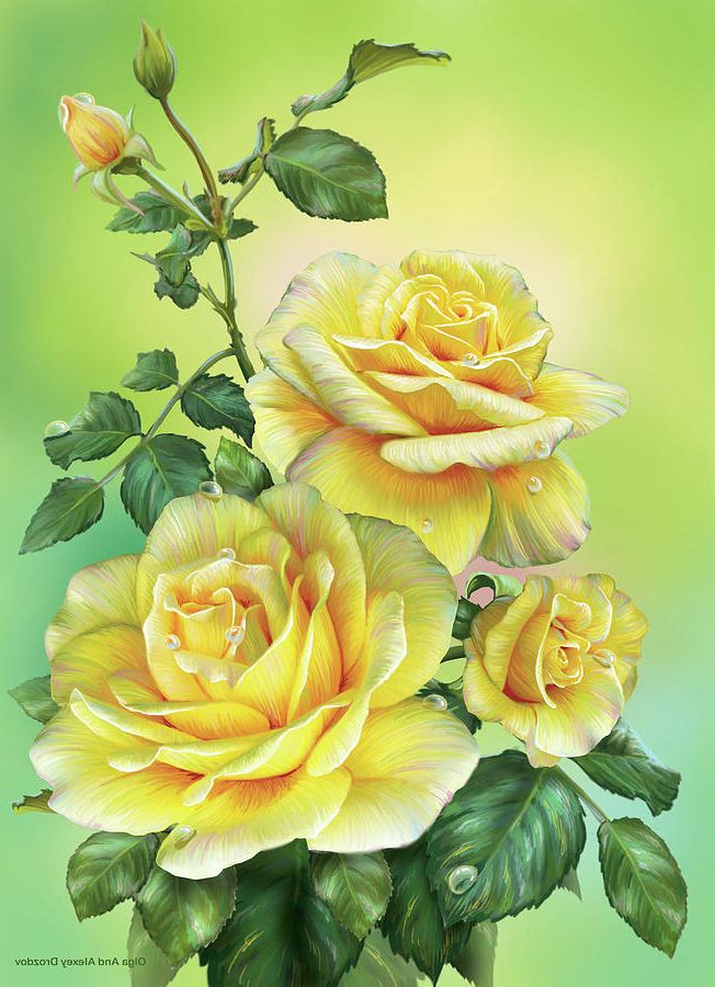 Well Liked Yellow Bloom Wall Art For Roses Yellow Digital Artolga And Alexey Drozdov (View 15 of 15)