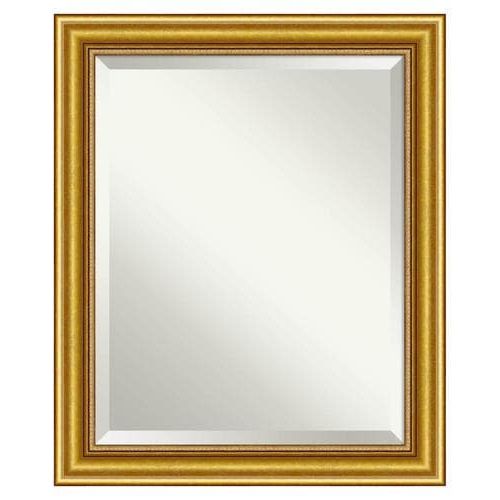 Most Current Ultra Brushed Gold Rectangular Framed Wall Mirrors Throughout Amanti Art Townhouse Gold Frame Collection  (View 6 of 15)