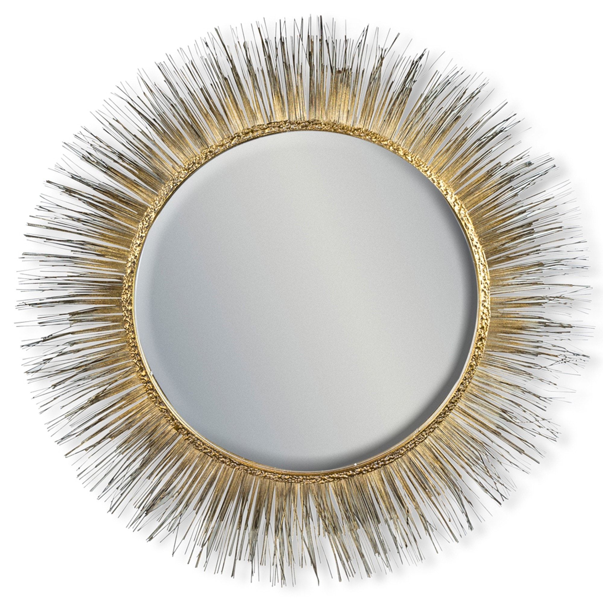 Well Liked Gold Rounded Edge Mirrors For Gold Round Metal Spine Framed Wall Mirror (View 14 of 15)