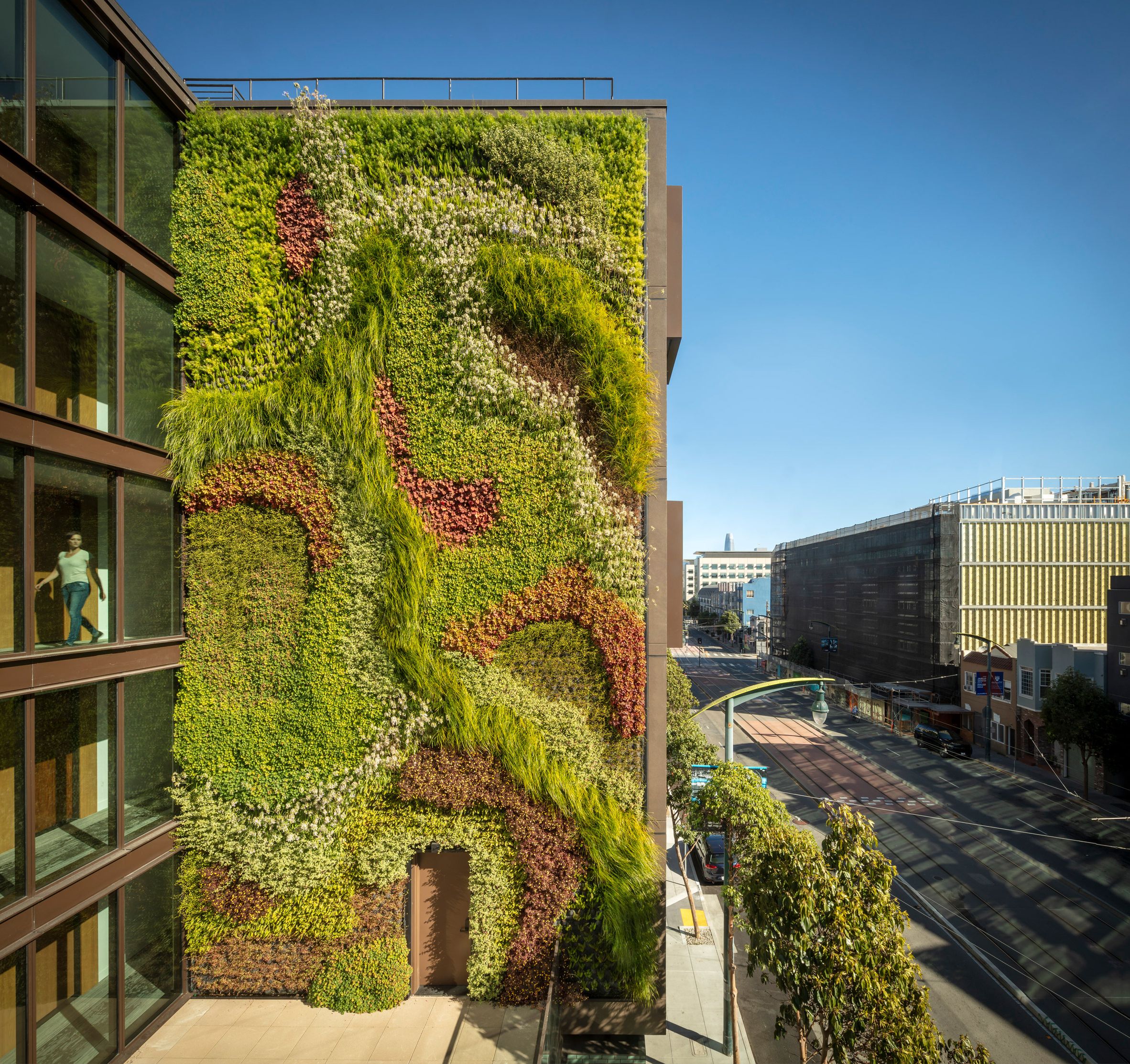 2018 California Living Wall Art With Green Wall Grows Five Storeys Up 2177 Third Street In San Francisco (Photo 7 of 15)