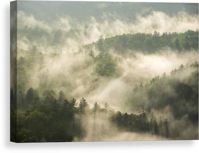 2018 Mountains In The Fog Wall Art With Highlands Nc Morning Mist Blue Ridge Mountains Fog Canvas Print / Canvas Art Dave Allen – Fine Art America (View 12 of 15)