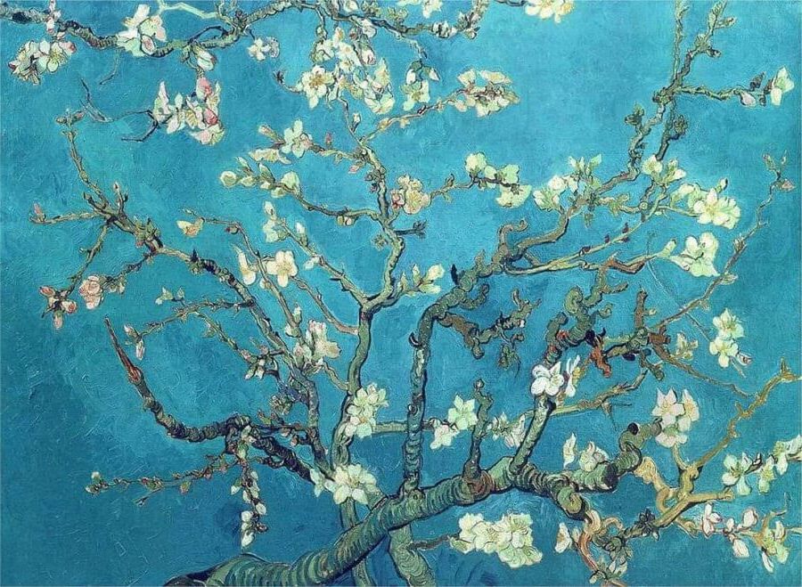 Almond Blossoms Wall Art Within Most Recently Released 10 Secrets Of Almond Blossomvincent Van Gogh (Photo 4 of 15)