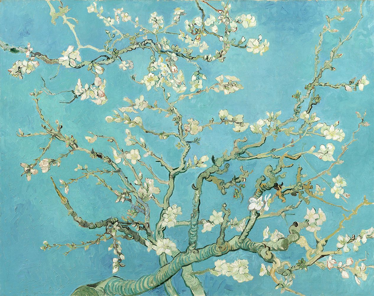 Almond Blossomvincent Van Gogh On Your Wall? – Wall Masters Pertaining To Most Up To Date Almond Blossoms Wall Art (View 13 of 15)