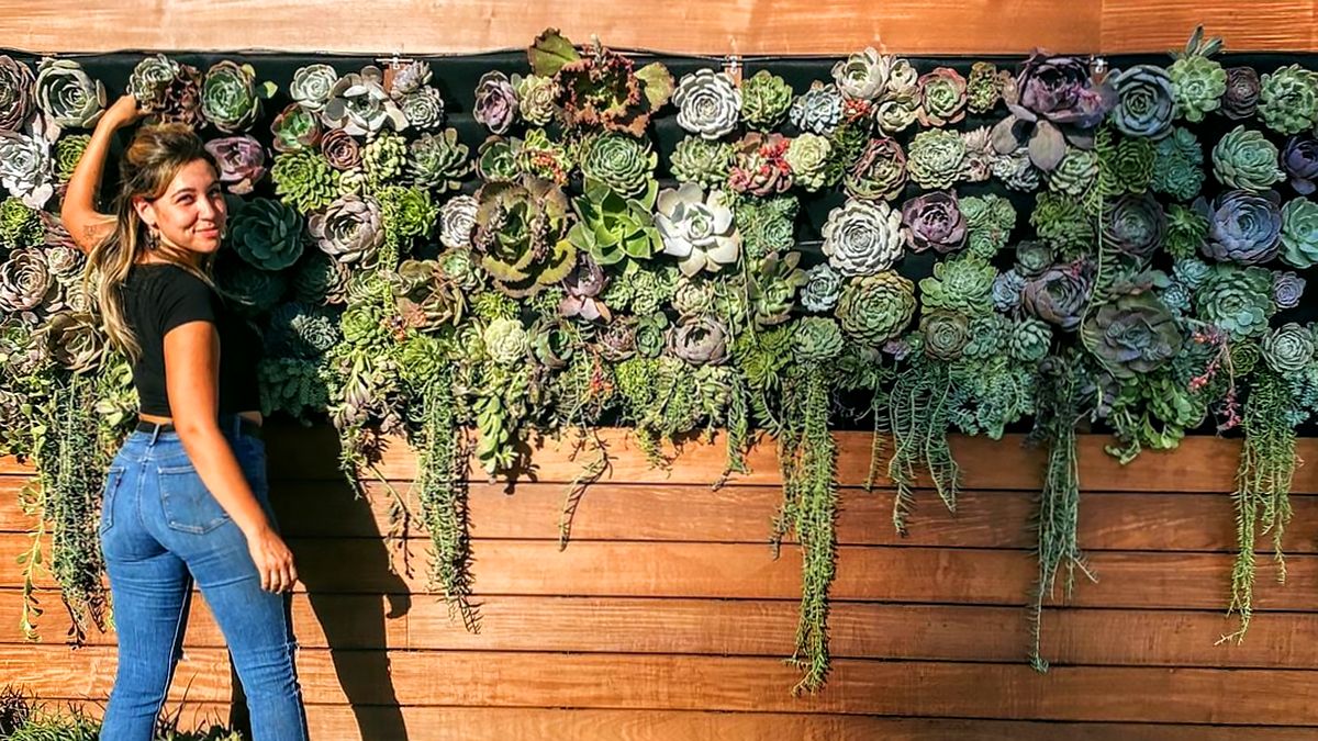 California Living Wall Art With Well Liked Succulent Masterpieceangelica Cook For M On High Street Restaurant In  Moorpark, California — Florafelt Living Wall Systems (Photo 5 of 15)
