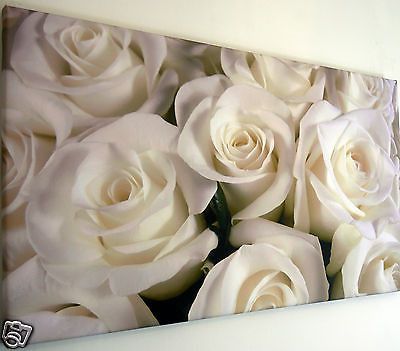 Ebay With Regard To Roses Wall Art (View 7 of 15)