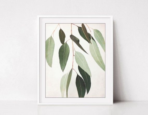 Eucalyptus Leaves Wall Art Print Botanical Print Sage Green – Etsy Italia Within Recent Eucalyptus Leaves Wall Art (View 3 of 15)