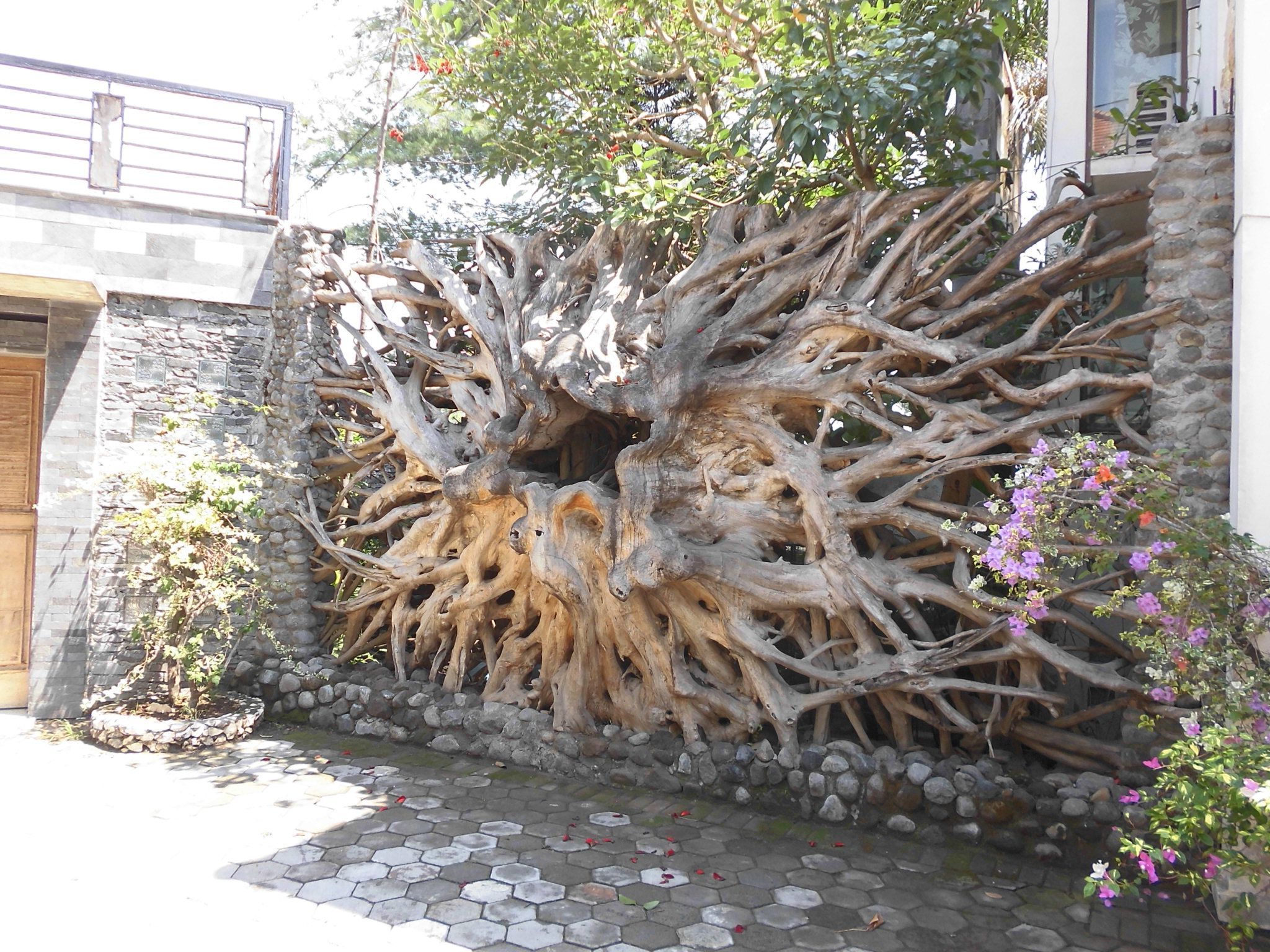 Ev Için, Çit, Yazlık Evler Inside Fashionable Roots Wood Wall Art (View 10 of 15)