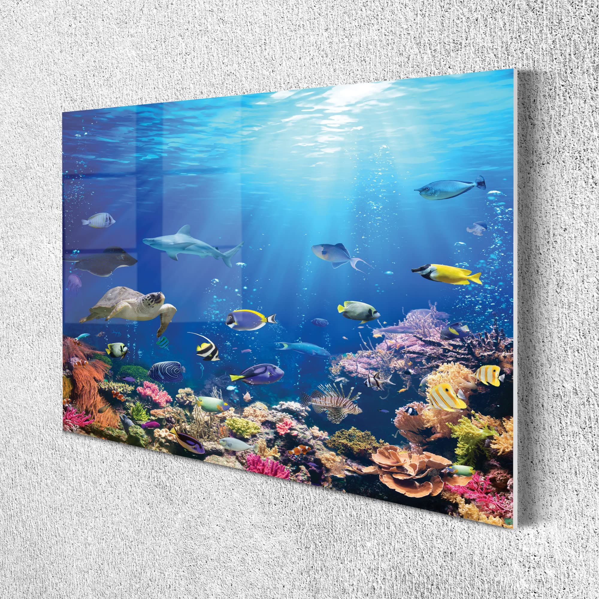 Famous Underwater Wall Art With Regard To Amazon: Ambesonne Animal Acrylic Glass Wall Art, Underwater Scene Of  Exotic Fishes Colorful Coral Reefs And Turtle, Accent Decor For Living Room  Bedroom & Dorms, 26.3" X  (View 13 of 15)