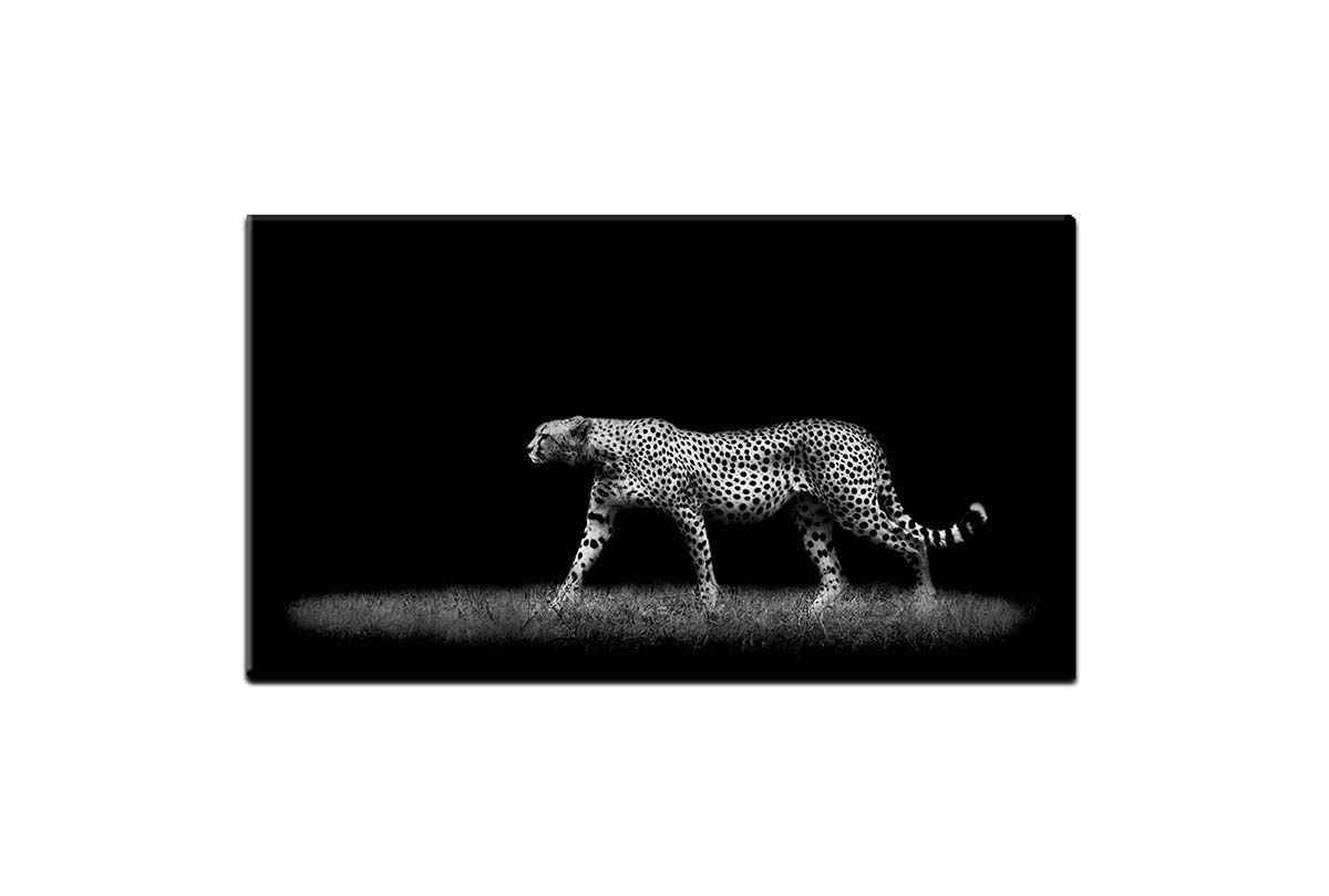 Fashionable Cheetah Wall Art In Buy Cheetah Stalking Black And White (View 12 of 15)