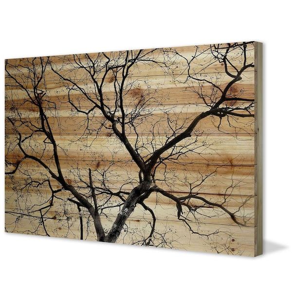Fashionable Colorful Branching Wall Art Throughout 24 In. H X 36 In (View 14 of 15)