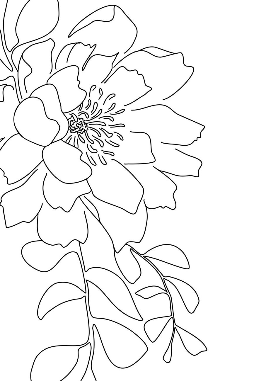 Floral Line Art (Photo 9 of 15)