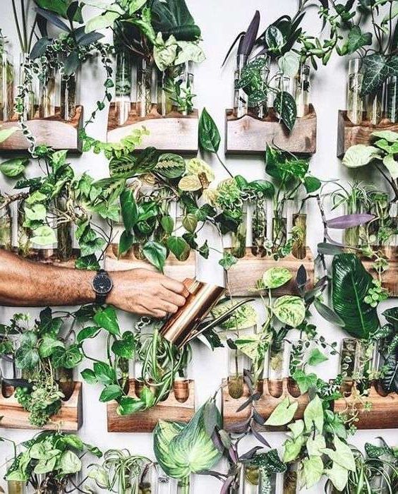 Inner Garden Wall Art In Fashionable 50 Indoor Garden Ideas – How To Make Your Own Indoor Garden At Home (View 12 of 15)