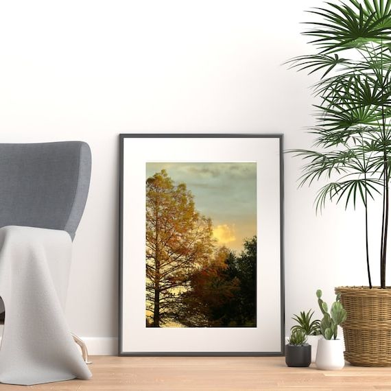Most Current Texas Morning Cypress Sunrise Wall Art Original Photography – Etsy France With Sunrise Wall Art (View 9 of 15)