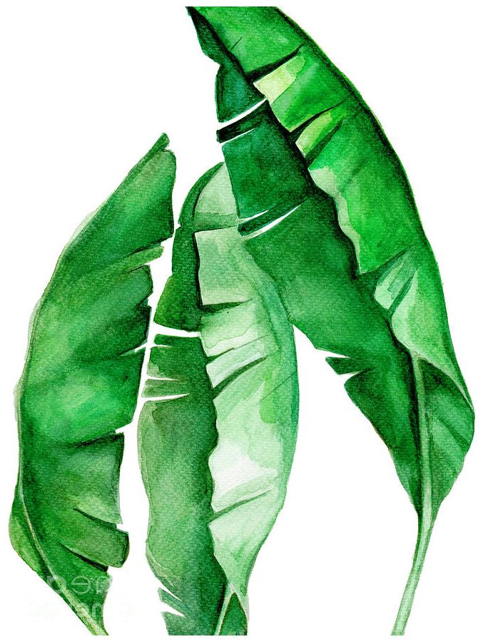 Most Current Tropical Leaf I Paintingpdfdecor Wall Art – Pixels For Tropical Leaves Wall Art (View 13 of 15)