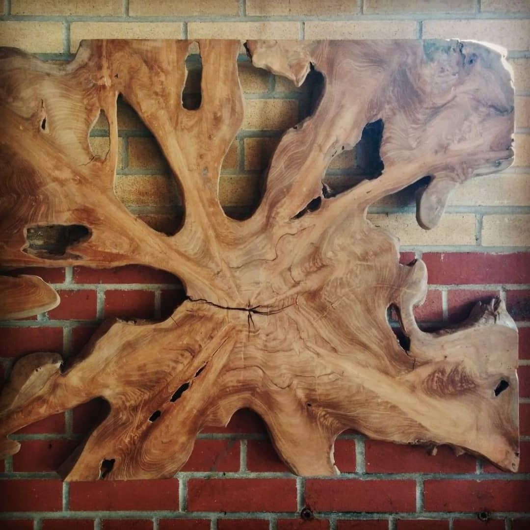Most Recent Teak Root Wall Art When Working With Salvaged Teak Roots The  Possibilities Are Endless? From End Tables And Coffee Tables, To Platters  And Bowls, The Organic… Regarding Roots Wood Wall Art (Photo 3 of 15)