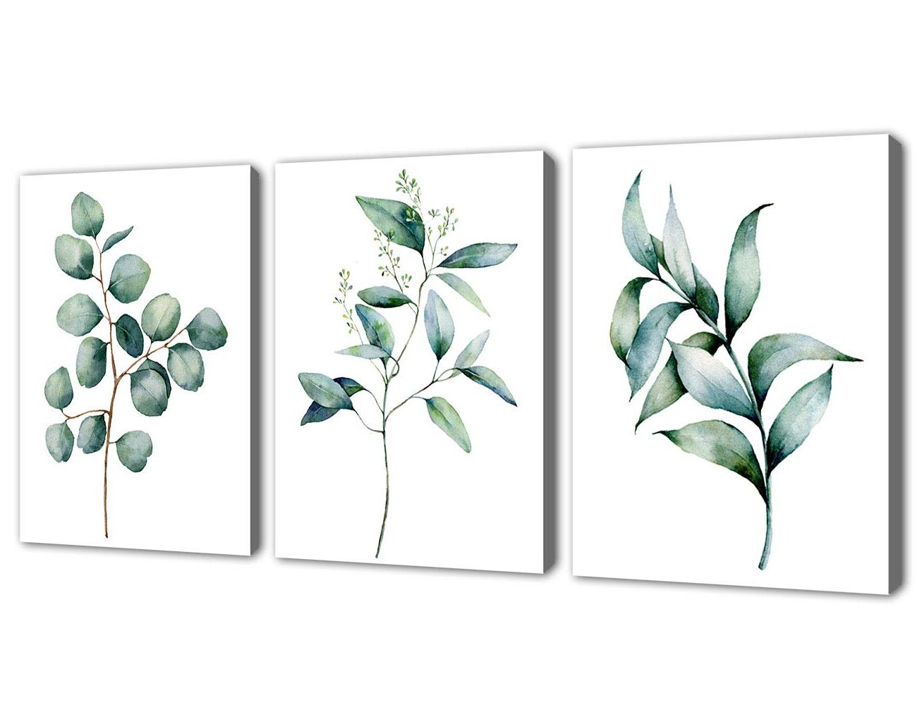 Most Up To Date Eucalyptus Leaves Wall Art Pertaining To Amazon: Green Leaf Wall Art Canvas Pictures Bathroom Wall Decor Modern  Botanical Watercolor Painting Eucalyptus Leaves Bedroom Decoration  Contemporary Bohemian Artwork Framed Ready To Hang 12" X 16" 3 Pieces:  Posters & (View 8 of 15)