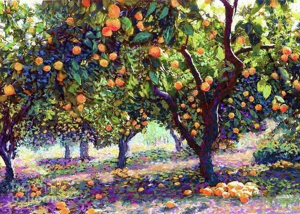 Orange Grove Of Citrus Fruit Trees Art Printjane Small (View 9 of 15)