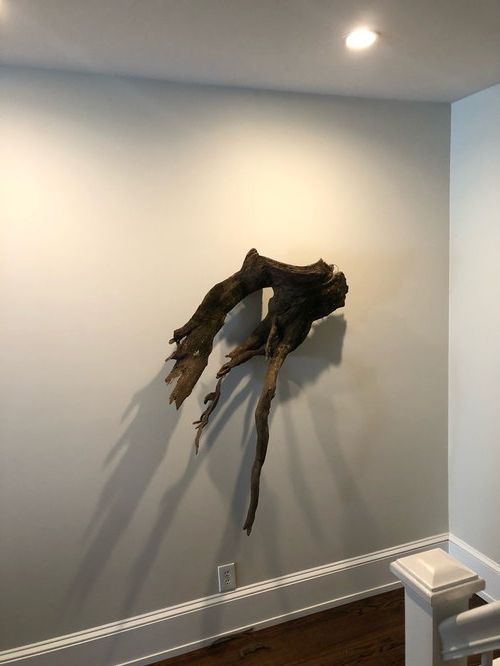Popular Tree Root Sculpture In Roots Wood Wall Art (View 15 of 15)