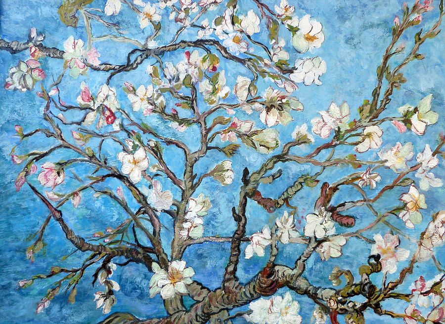 Recent Almond Blossoms Wall Art Intended For Almond Blossoms Paintingtom Roderick – Fine Art America (View 14 of 15)