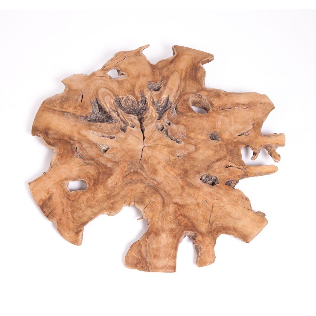 Roots Wood Wall Art With Most Up To Date Convex Teak Root Wall Decor – Zenporium (Photo 1 of 15)