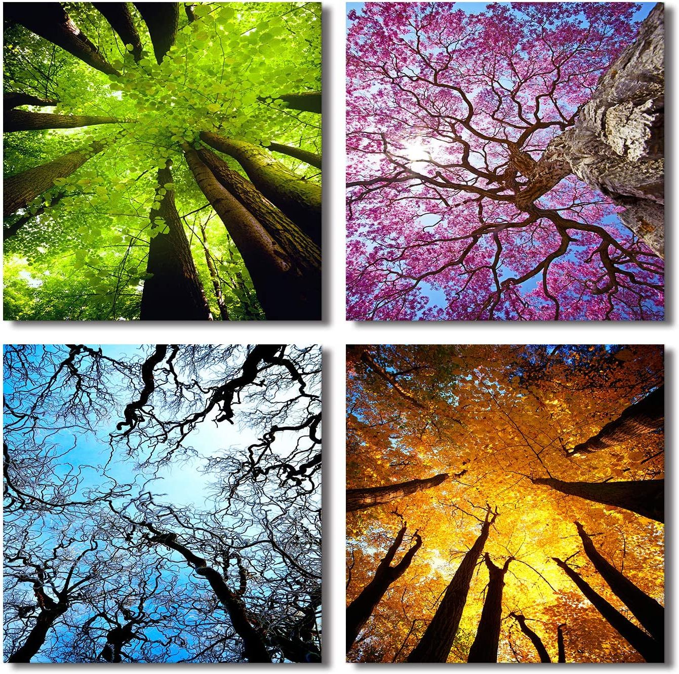 Spring Summer Wall Art Inside Popular 4 Panels Canvas Wall Art Spring Summer Autumn Winter Four Seasons Landscape  Color Tree Painting Picture Prints Modern Giclee Artwork Stretched And  Framed For Homel Decoration (30x30cmx4pcs) : Amazon (View 8 of 15)