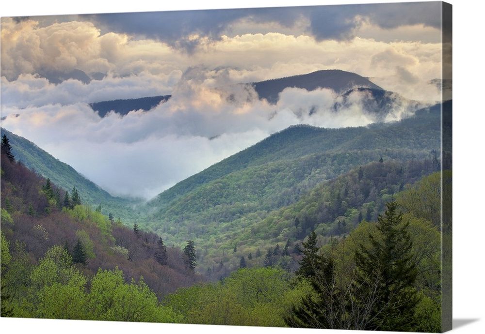 Trendy Smoky Mountain Wall Art Within Great Smoky Mountains National Park, North Carolina Wall Art, Canvas  Prints, Framed Prints, Wall Peels (View 3 of 15)