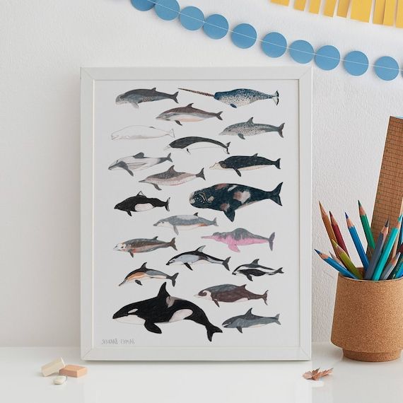 Whale And Dolphin Print Dolphin Wall Art Whale Print Whale – Etsy France Intended For Newest Whale Wall Art (View 7 of 15)