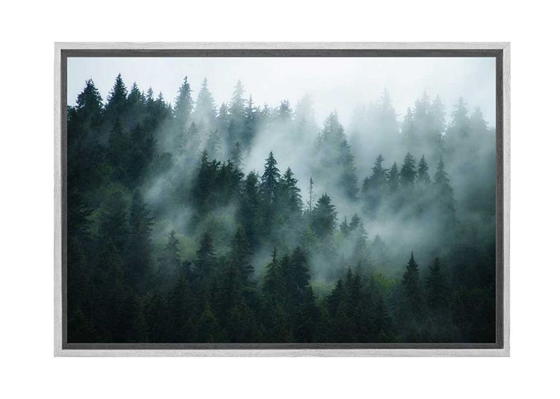 Widely Used Misty Pines Wall Art Throughout Buy Misty Pine Forest  (View 15 of 15)