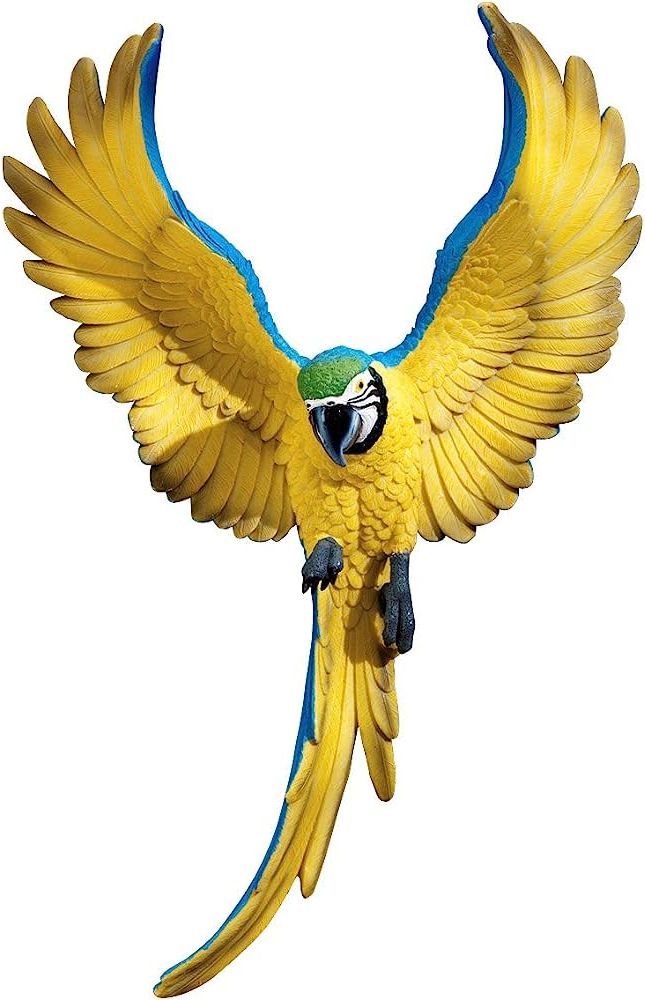 Amazon: Design Toscano Flapping Macaw Bird Tropical Decor Wall Sculpture,  16 Inch, Polyresin, Full Color : Home & Kitchen Within Favorite Bird Macaw Wall Sculpture (Photo 1 of 15)