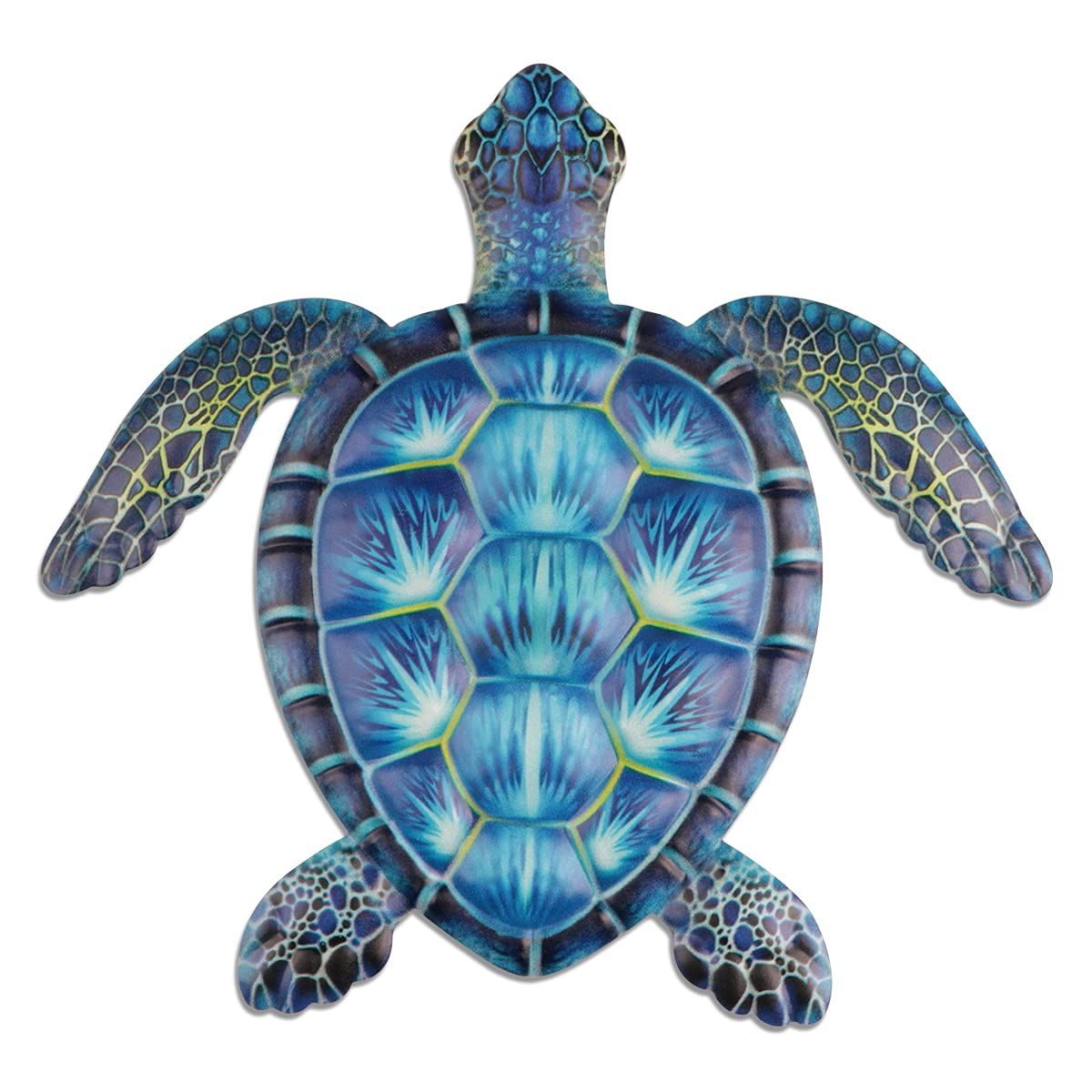 Featured Photo of  Best 15+ of Turtle Wall Art