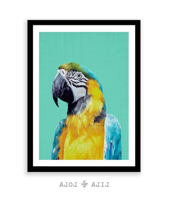 Fashionable Tropical Bird Print Parrot Wall Art Photographie Doiseaux – Etsy France With Regard To Parrot Tropical Wall Art (View 2 of 15)