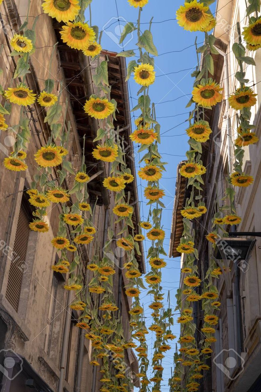 Hanging Sunflower For Favorite Beautiful Artistic Decorations Sunflower Flowers Hanging On The Street  Stock Photo, Picture And Royalty Free Image. Image 129574410. (Photo 5 of 15)