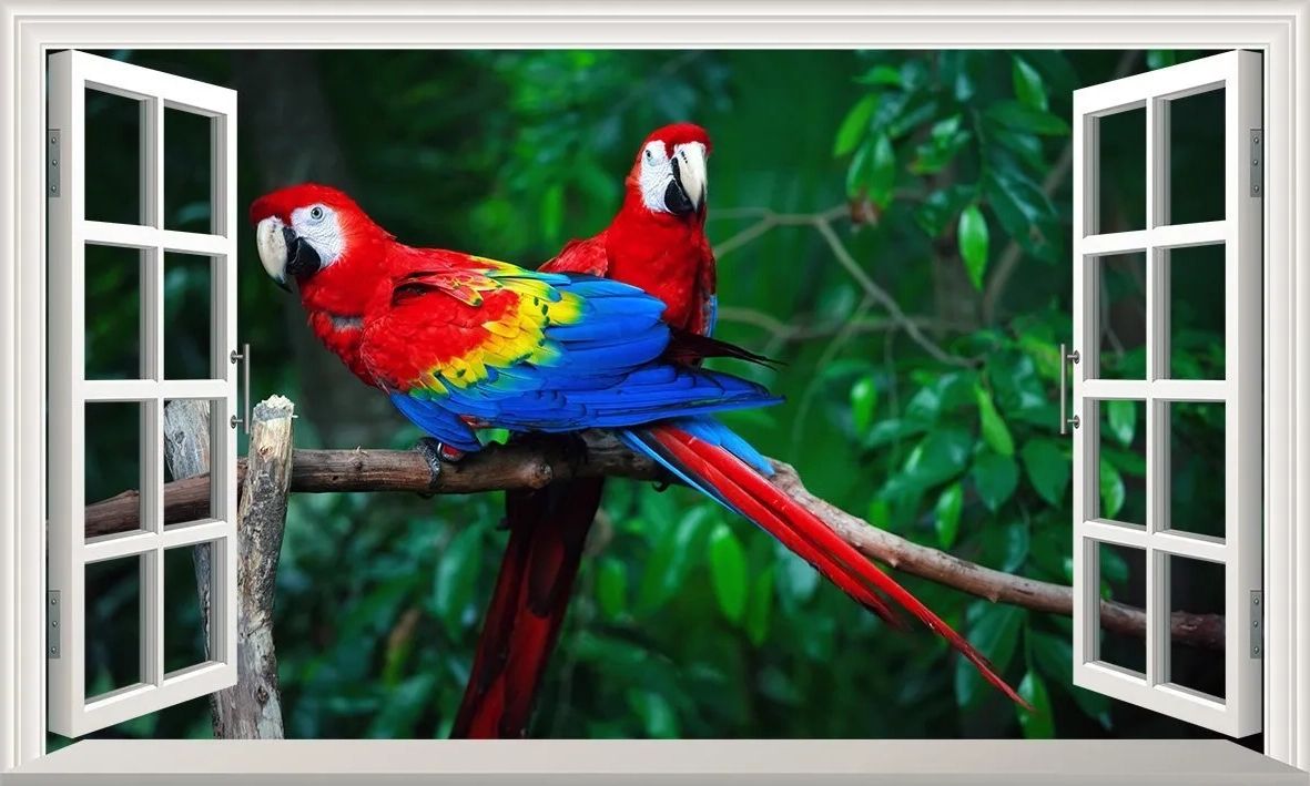 Most Current Macaw Parrot Parrots 3d Magic Window Wall Art Self Adhesive Vinyl Sticker  V (View 14 of 15)