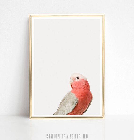 Parrot Tropical Wall Art For Favorite Pink Parrot Print Tropical Wall Art Printable Wall Art – Etsy France (View 11 of 15)