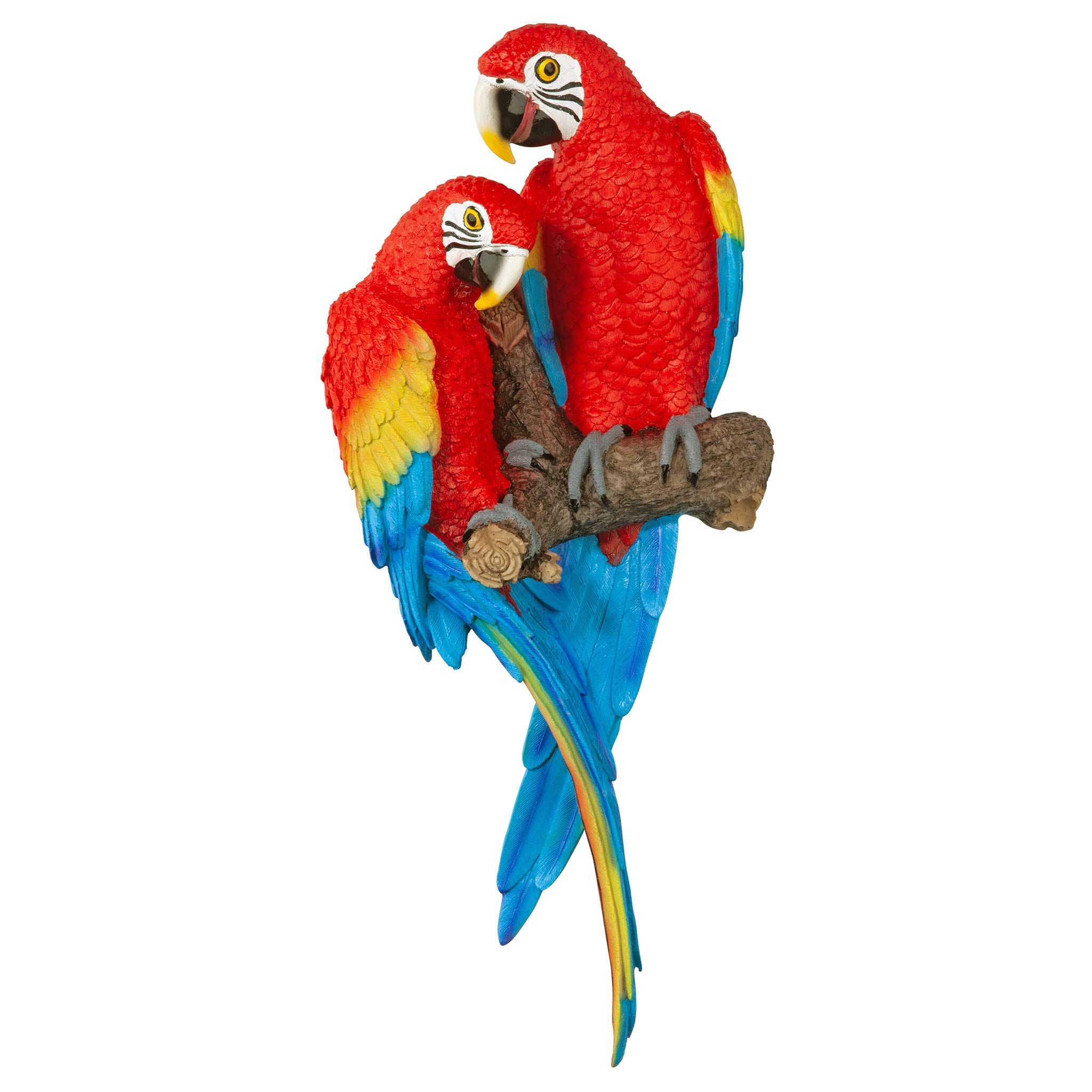 Recent Design Toscano Tropical Scarlet Macaws Wall Sculpture : Amazon.in: Home &  Kitchen Intended For Bird Macaw Wall Sculpture (Photo 3 of 15)
