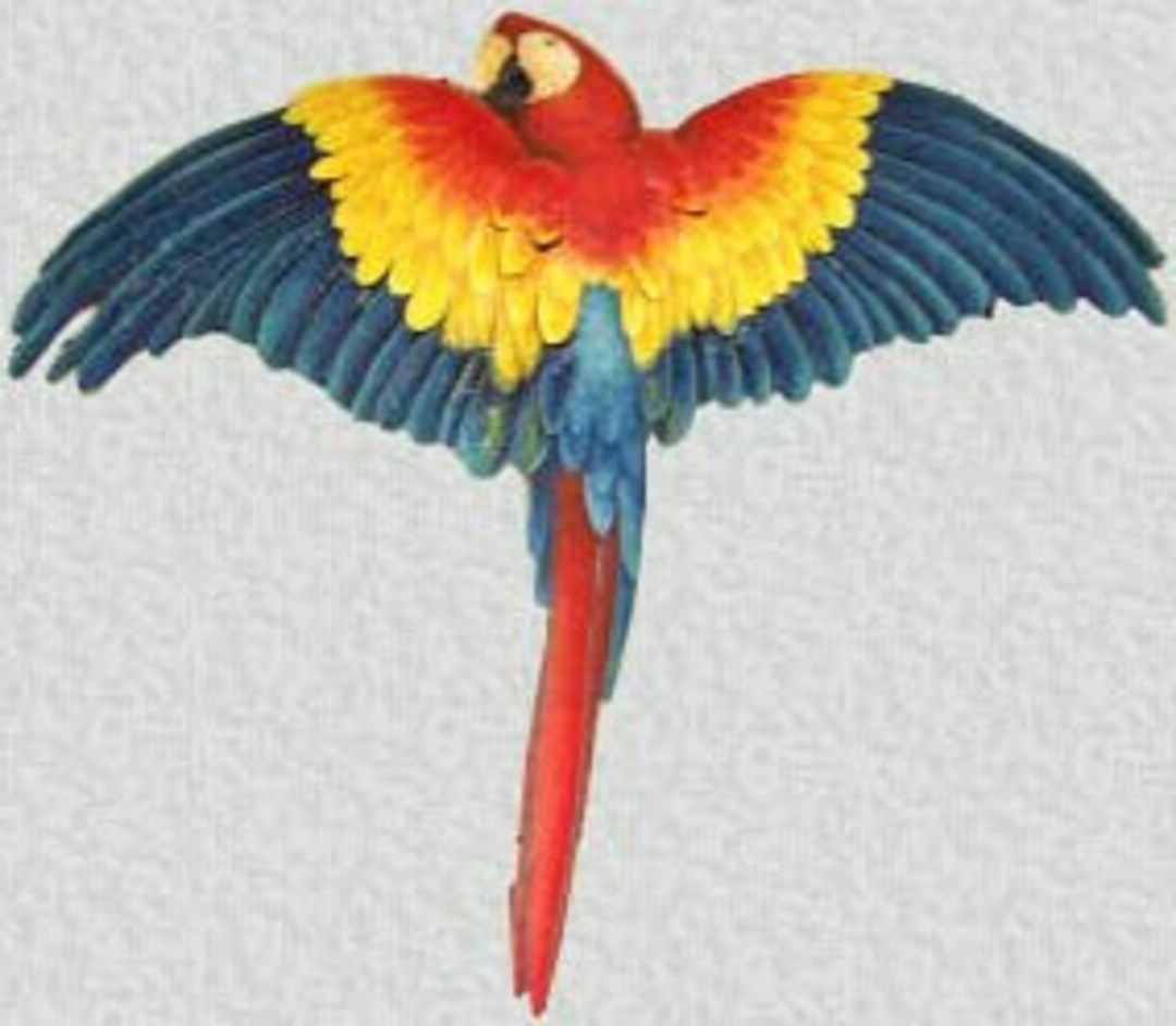 Scarlet Macaw Parrot Metal Wall Hanging 26 Painted – Etsy Throughout Most Recent Bird Macaw Wall Sculpture (View 9 of 15)