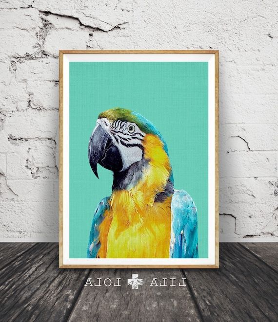 Featured Photo of The Best Parrot Tropical Wall Art