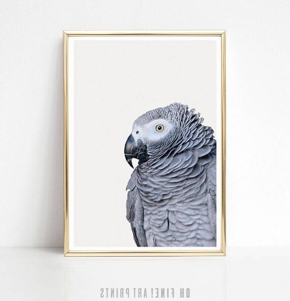 Tropical Wall Art African Grey Parrot Print Tropical Bird – Etsy France Inside Well Known Parrot Tropical Wall Art (View 7 of 15)