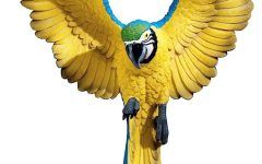 Bird Macaw Wall Sculpture