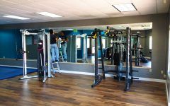20 Inspirations Gym Wall Mirrors