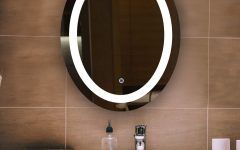 15 Inspirations Oval Frameless Led Wall Mirrors