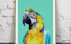 The Best Parrot Tropical Wall Art